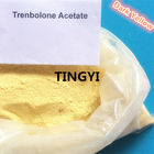 Finaplix Trenbolone Acetate CAS: 10161-34-9 Powder , Tren Bodybuilding Supplement For Fitness