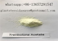 Yellow Tren Bodybuilding Supplement 99 % Anabolic Steroids Methyltrienolone CAS: 965-93-5