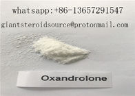 Most Effective Oral Anabolic Steroids Oxandrolone / Anavar Powder For Male & Female CAS 53-39-4