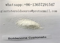 Muscle Building 99.9% Purity Boldenone Cypionate Steroids Powder 106505-90-2